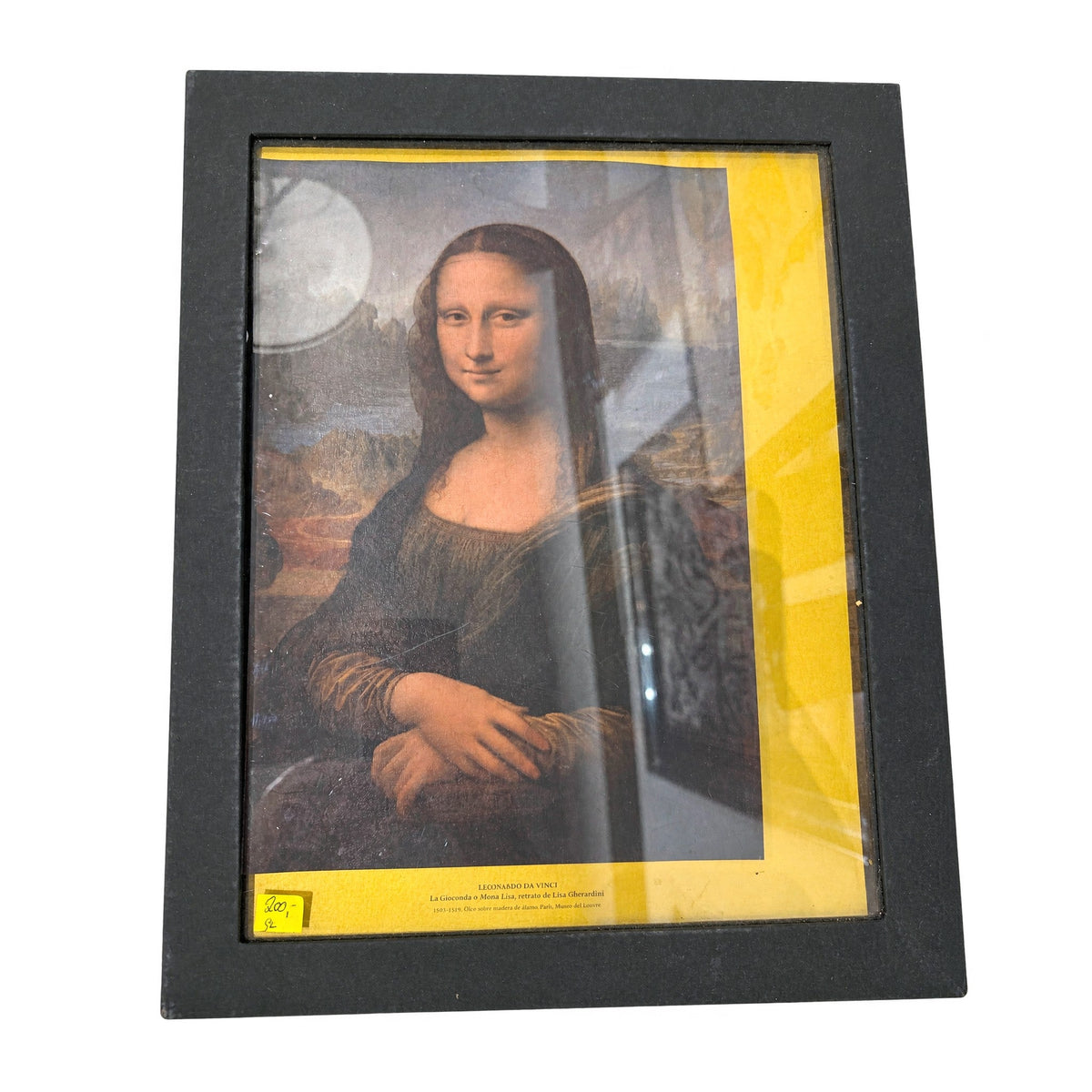 Libro Leonardo Da Vinci – MS-00094 (2)